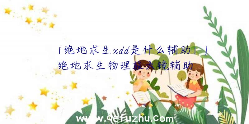 「绝地求生xdd是什么辅助」|绝地求生物理放大镜辅助